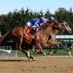 2025 Remsen Stakes at a Glance